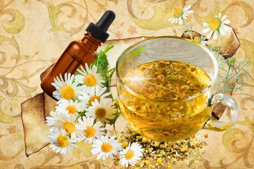 Chamomile - St. Hildegard’s Top 9 Healing Herbs and How to Use Them - MyNaturalTreatment.com