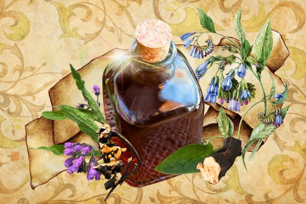 Comfrey St. Hildegards Top 9 Healing Herbs and How to Use Them MyNaturalTreatment.com