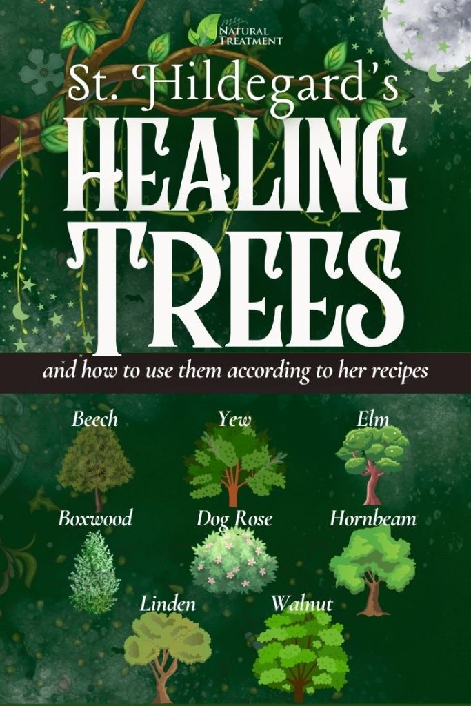 From Forest to Pharmacy: St. Hildegard’s 7 Healing Trees with Recipes -  Medieval Remedy - MyNaturalTreatment.com