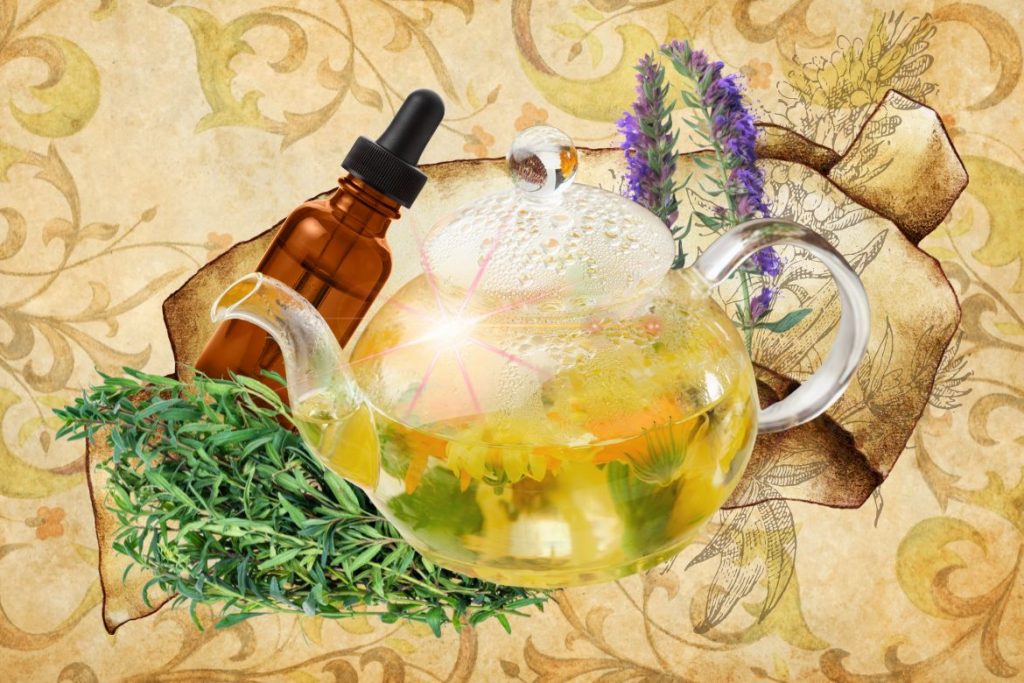 Hyssop - St. Hildegard’s Top 9 Healing Herbs and How to Use Them - MyNaturalTreatment.com