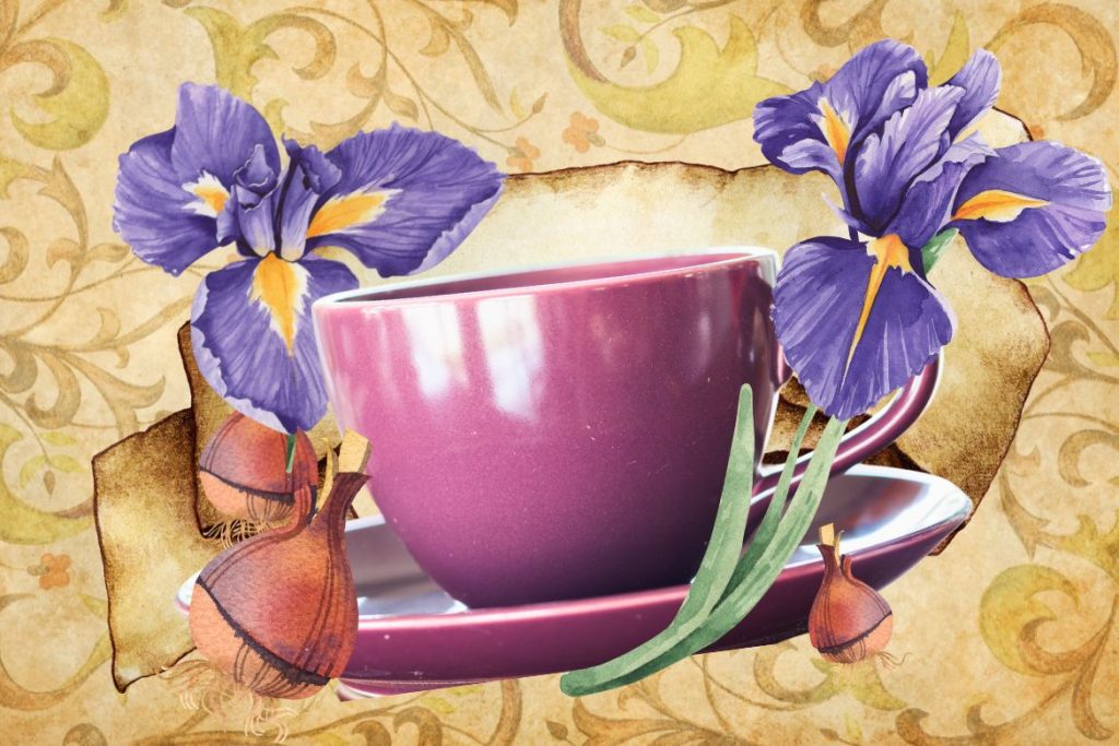 Iris - St. Hildegard’s Top 9 Healing Herbs and How to Use Them - MyNaturalTreatment.com