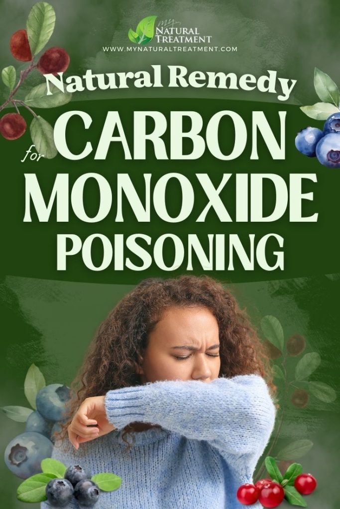 Powerful Carbon Monoxide Poisoning Remedy with Wild Berries 4 Powerful Carbon Monoxide Poisoning Remedy with Wild Berries - MyNaturalTreatment.com