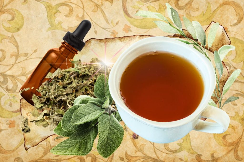 Sage - St. Hildegard’s Top 9 Healing Herbs and How to Use Them - MyNaturalTreatment.com