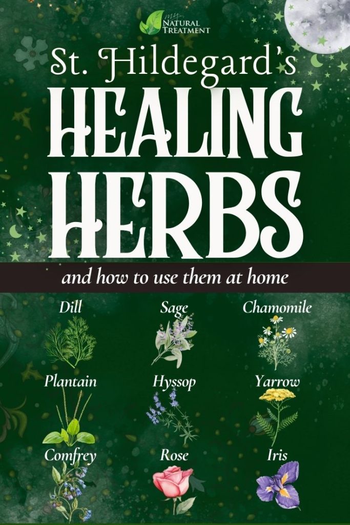 St. Hildegard’s Top 9 Healing Herbs and How to Use Them - Medieval Remedy - MyNaturalTreatment.com