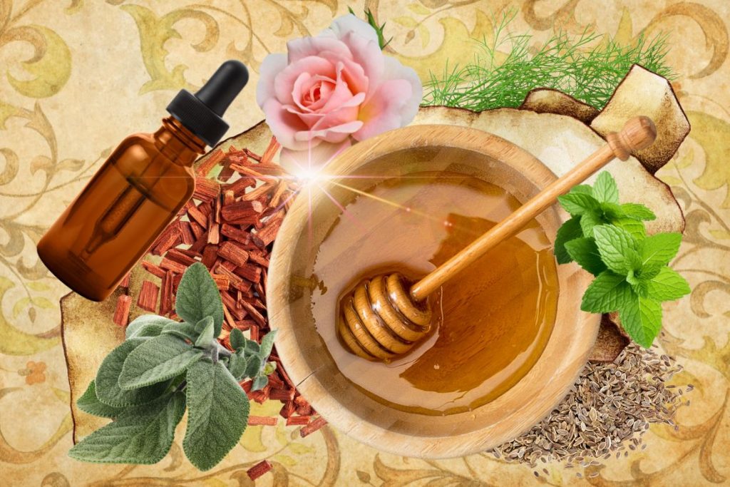St. Hildegard’s Top 9 Healing Herbs and How to Use Them - MyNaturalTreatment.com