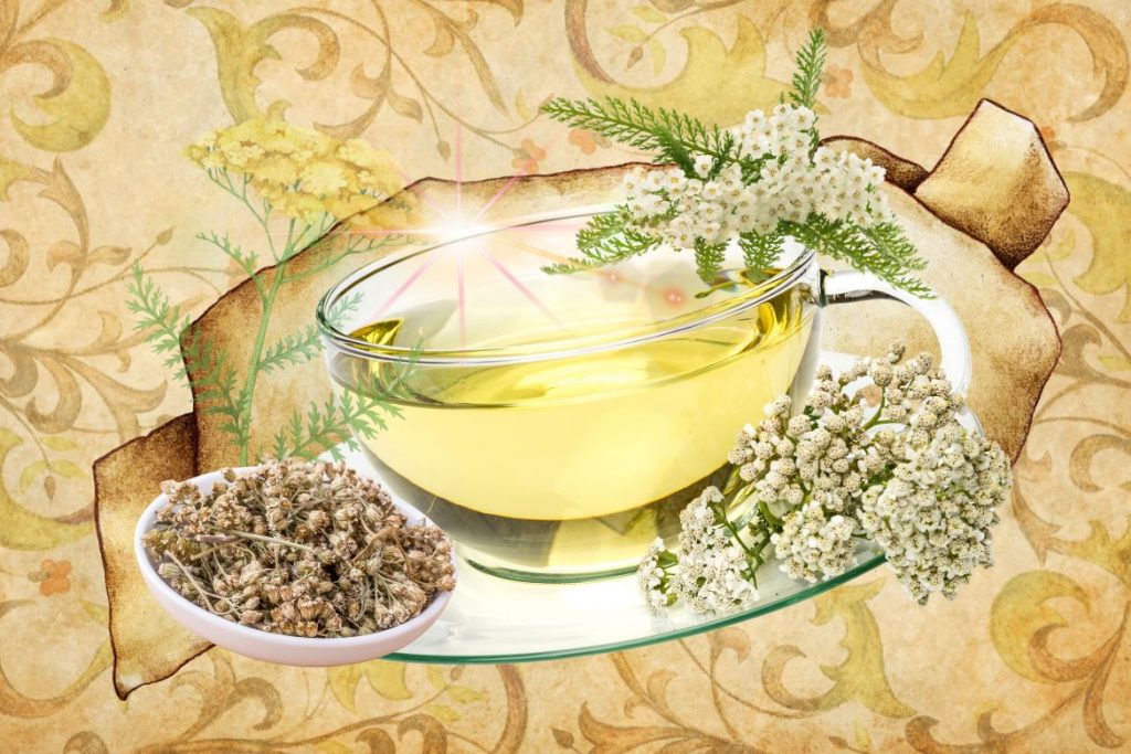  Yarrow - St. Hildegard’s Top 9 Healing Herbs and How to Use Them - MyNaturalTreatment.com