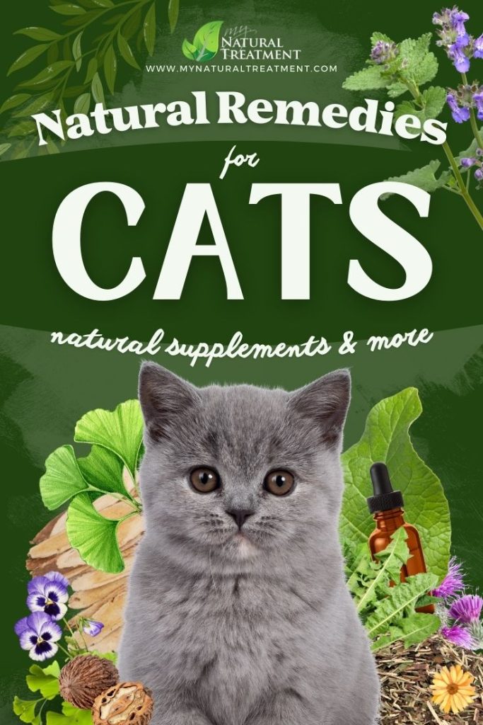 10 Best Natural Remedies for Cats - Medicinal Herbs for Cats and How to Use - MyNaturalTreatment.com