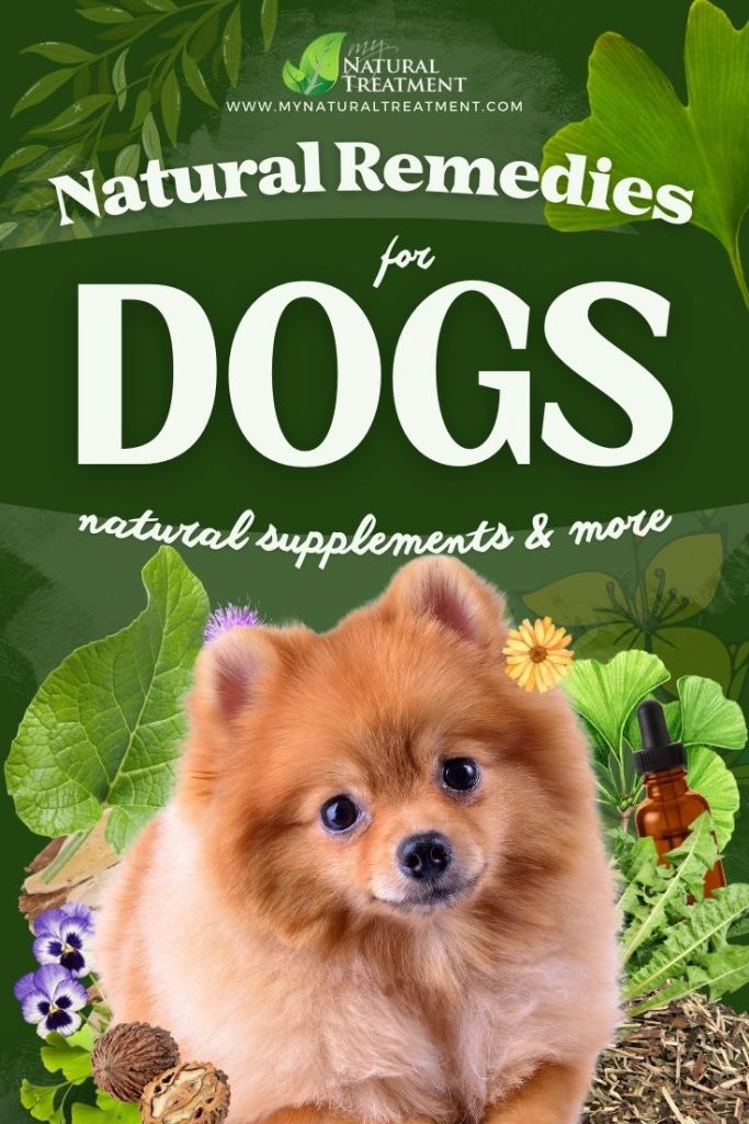 10 Best Natural Remedies for Dogs - Medicinal Herbs for Dogs and How to Use 53 10 Best Natural Remedies for Dogs - Medicinal Herbs for Dogs and How to Use - MyNaturalTreatment.com