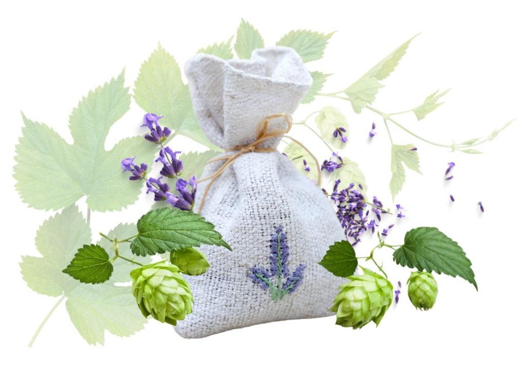 2 Powerful Tibetan Remedies for Insomnia with Hops 3 2 Powerful Tibetan Remedies for Insomnia with Hops - MyNaturalTreatment.com