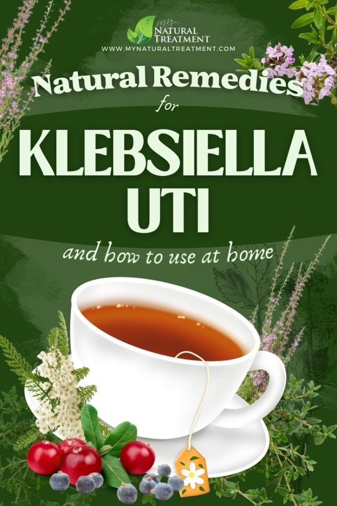 5 Effective Natural Remedies for Klebsiella UTI Relief 6 Effective Natural Remedies for Klebsiella UTI Relief - MyNaturalTreatment.com