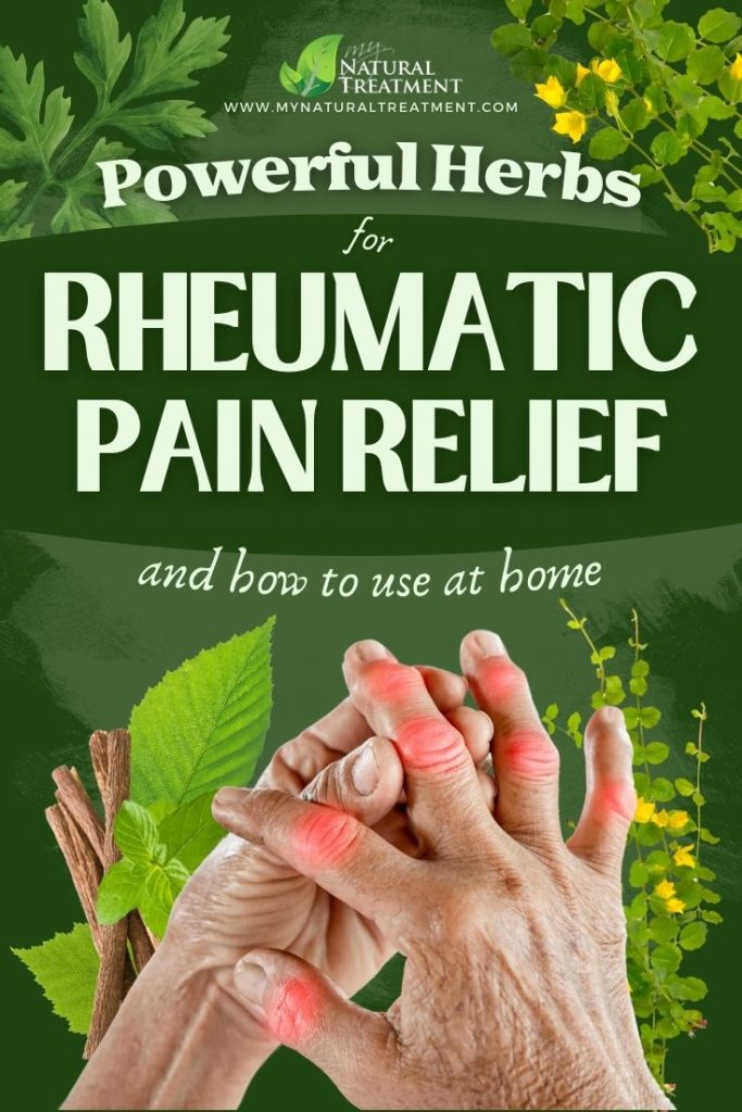 7 Effective Herbs for Rheumatic Pain Relief and How to Use Them - MyNaturalTreatment.com