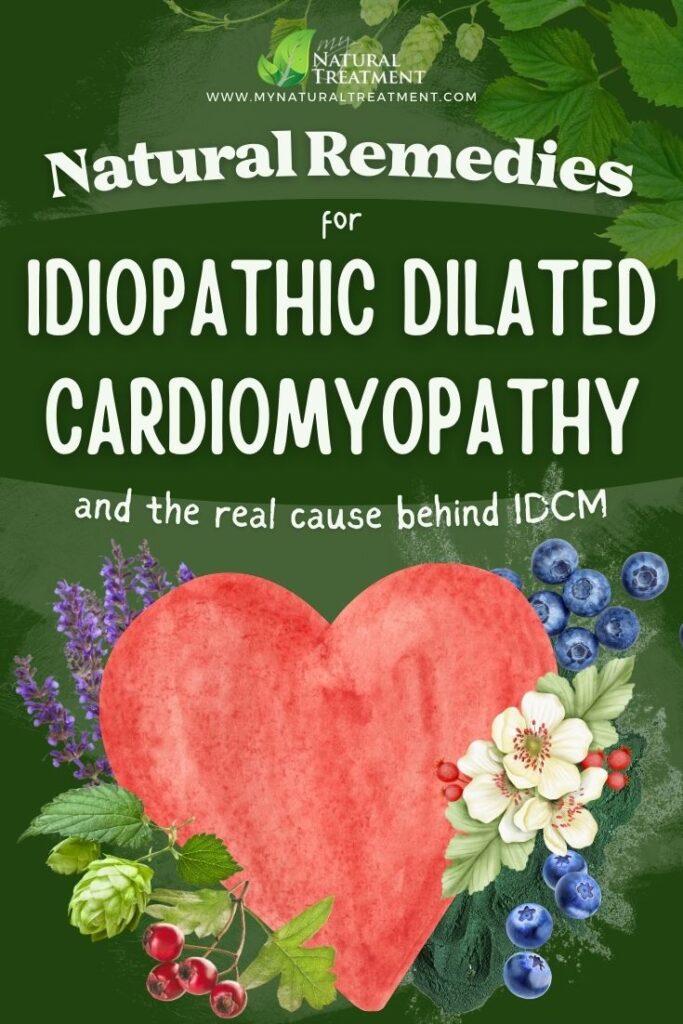 3 Natural Remedies for Idiopathic Dilated Cardiomyopathy and True Cause Behind It 22 3 Natural Remedies for Idiopathic Dilated Cardiomyopathy and True Cause Behind It - MyNaturalTreatment