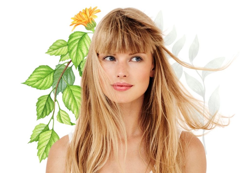 5 Natural Hair Care Recipes from Tyrol 3 5 Natural Hair Care Recipes from Tyrol - Eva Lubke's Remedies - MyNaturalTreatment.com5 Natural Hair Care Recipes from Tyrol - Eva Lubke's Remedies - MyNaturalTreatment.com