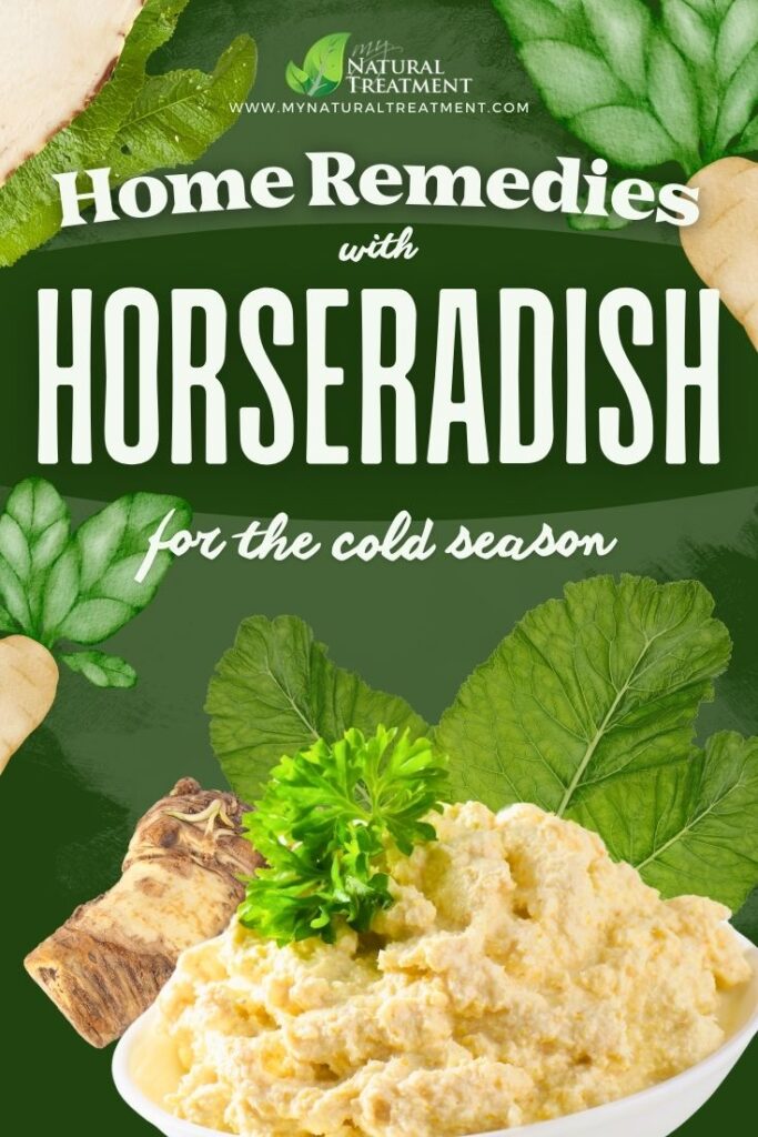 6 Home Remedies with Horseradish for The Cold Season 5 6 Home Remedies with Horseradish for The Cold Season - MyNaturalTreatment