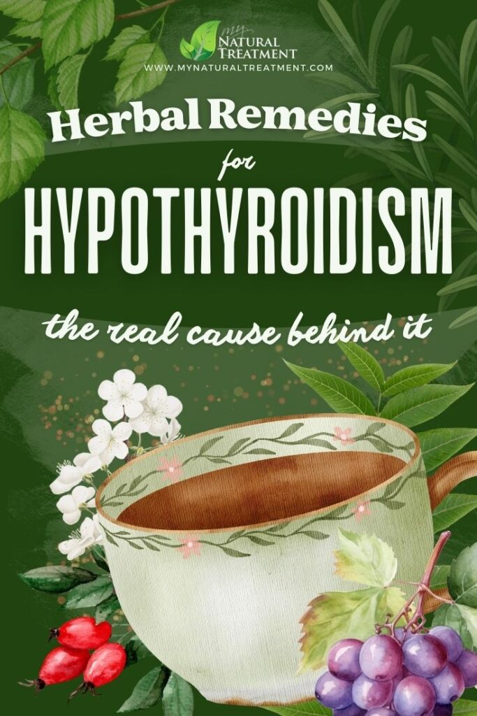 9 Herbal Remedies for Hypothyroidism and The Real Cause Behind It 10 9 Herbal Remedies for Hypothyroidism and The Real Cause Behind It - MyNaturalTreatment