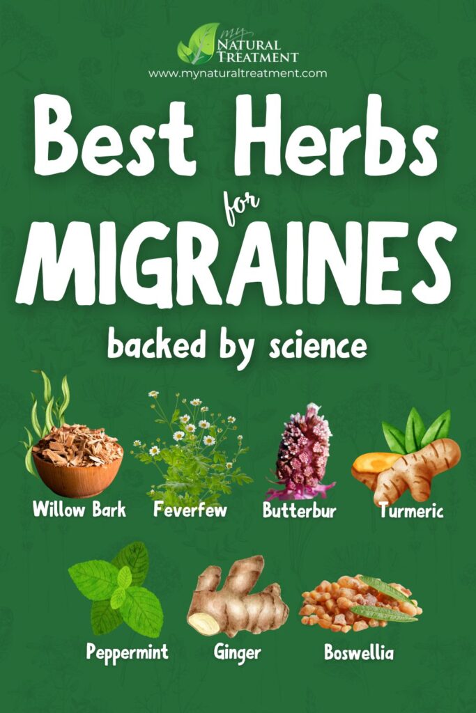 Best Herbs for Migraines: 7 Scientifically Proven Migraine Remedies for Relief & Prevention 11 Best Herbs for Migraines: 7 Scientifically Proven Migraine Remedies for Relief & Prevention - MyNaturalTreatment