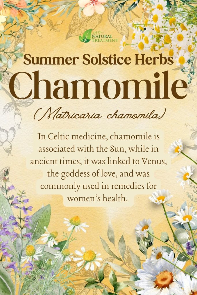 6 Powerful Summer Solstice Herbs and Their Uses - Ancient Celtic Remedies 10 Chamomile - Powerful Summer Solstice Herbs and Their Uses - Ancient Celtic Remedies - myNaturalTreatment.com