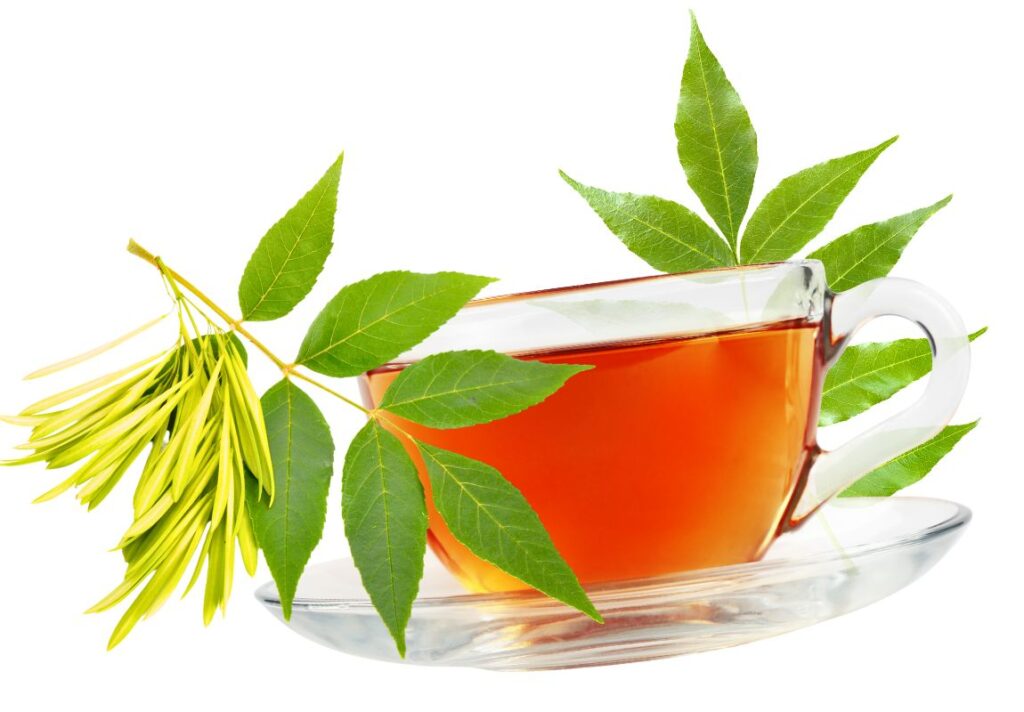 7 Amazing Health Benefits of European Ash Leaf 3 Health Benefits of European Ash Leaf for Inflammation - MyNaturalTreatment