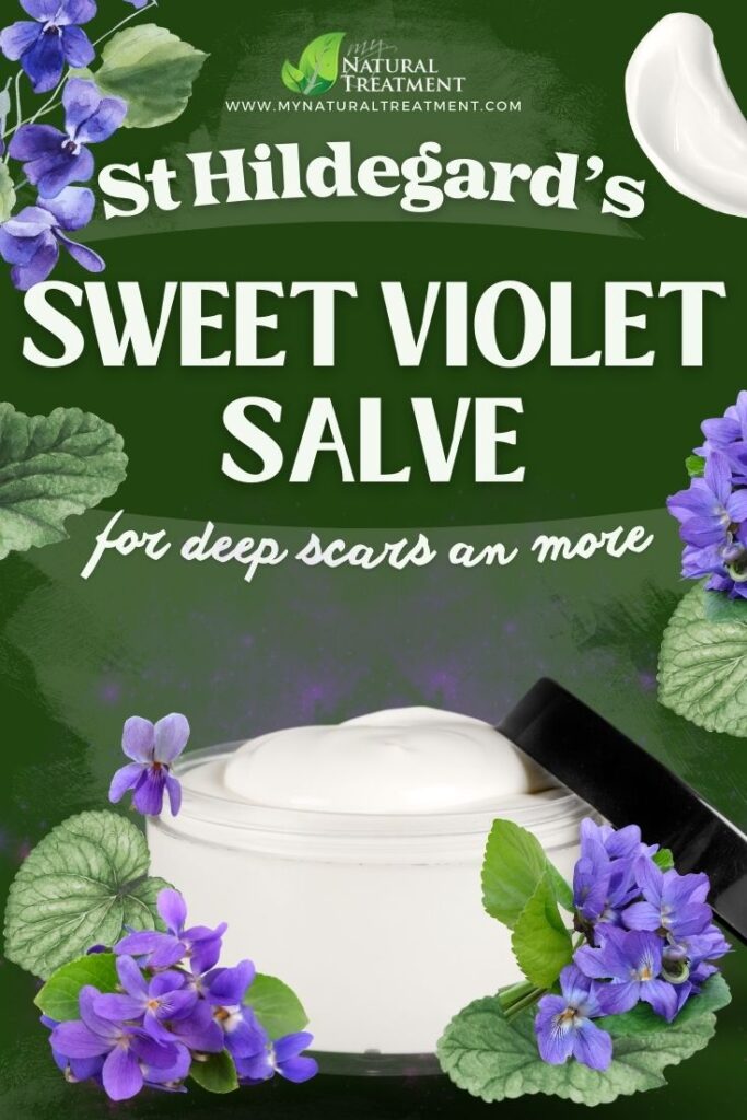 Sweet Violet Salve for Deep Scars – St. Hildegard’s Famous Recipe - MyNaturalTreatment