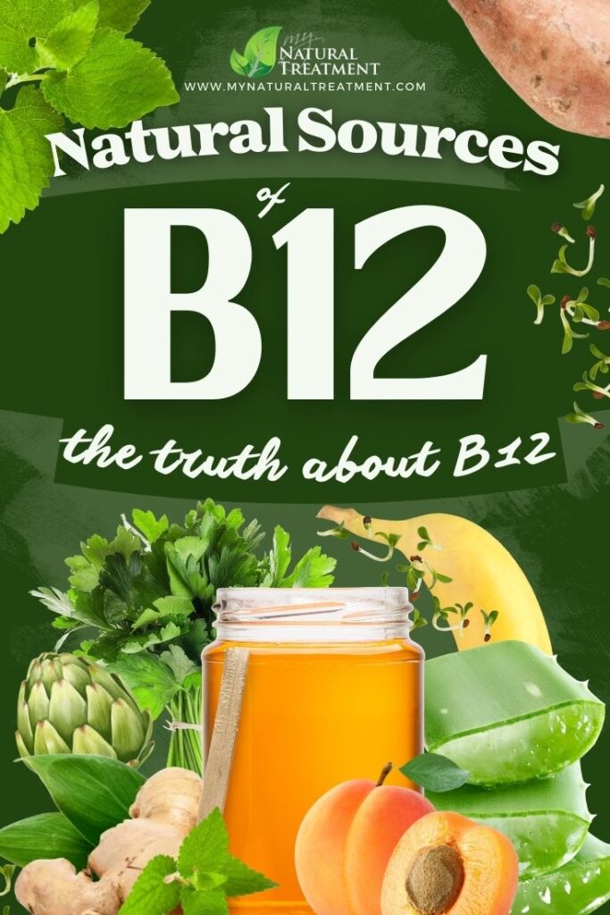 10 Best Natural Sources of B12 - Does The Body Produce B12? 8 10 Best Natural Sources of B12 Does The Body Produce B12 MyNaturalTreatment.com