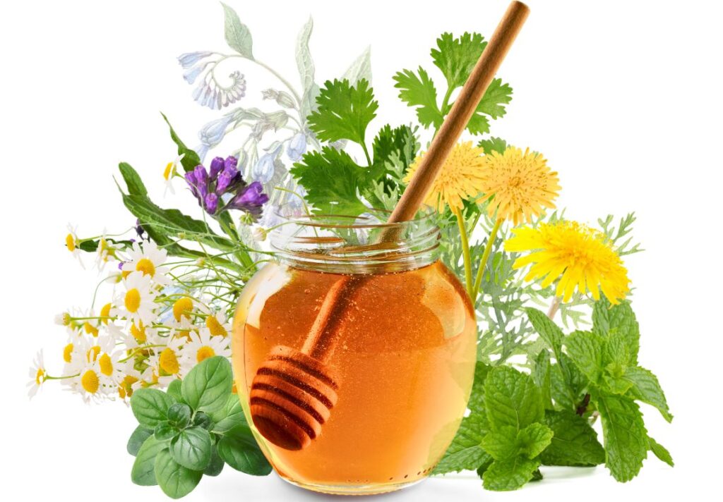 9 Amazing Herbal Syrup Recipes and Their Medicinal Uses - Sugar Free 3 Amazing Herbal Syrup Recipes and Their Medicinal Uses - Sugar Free - MyNaturalTreatment