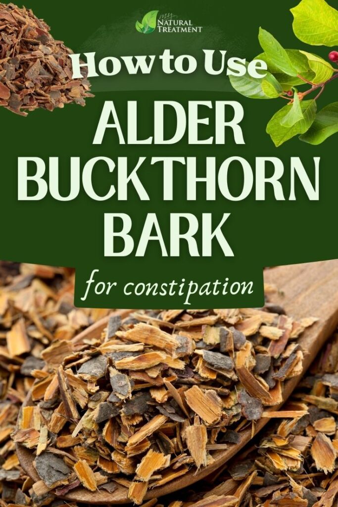 How to Use Alder Buckthorn Bark for Constipation 5 How to Use Alder Buckthorn Bark for Constipation - MyNaturalTreatment