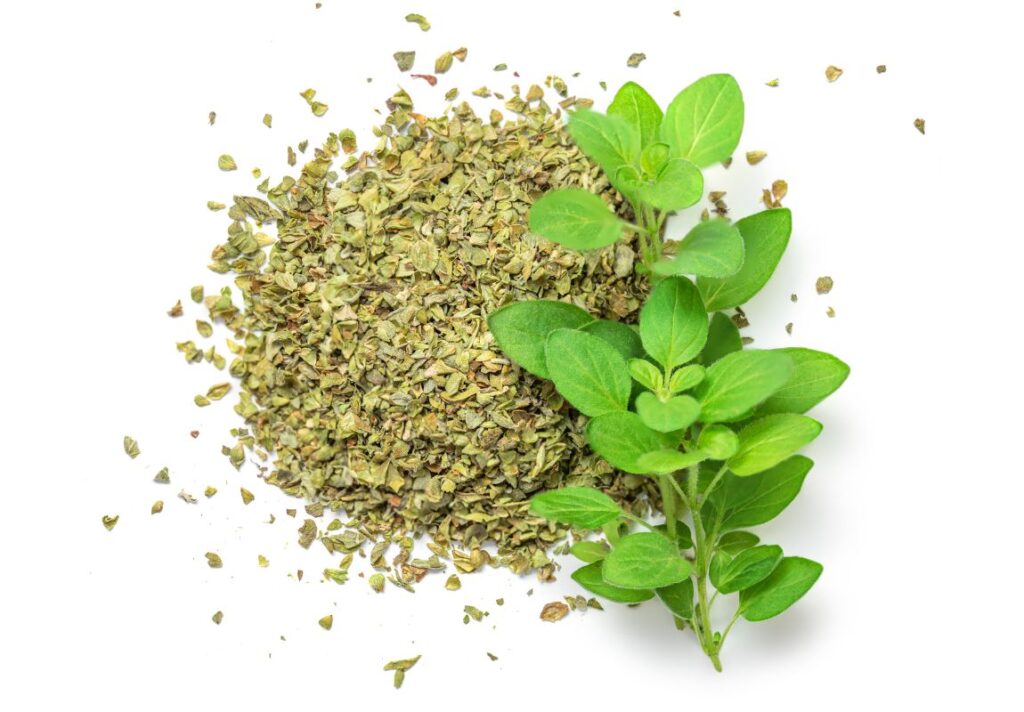 6 Health Uses of Oregano Oil & The Truth about Essential Oils 4 6 Health Uses of Oregano Oil & The Truth about Essential Oils - Why Essential Oils are Bad for you - MyNaturalTreatment
