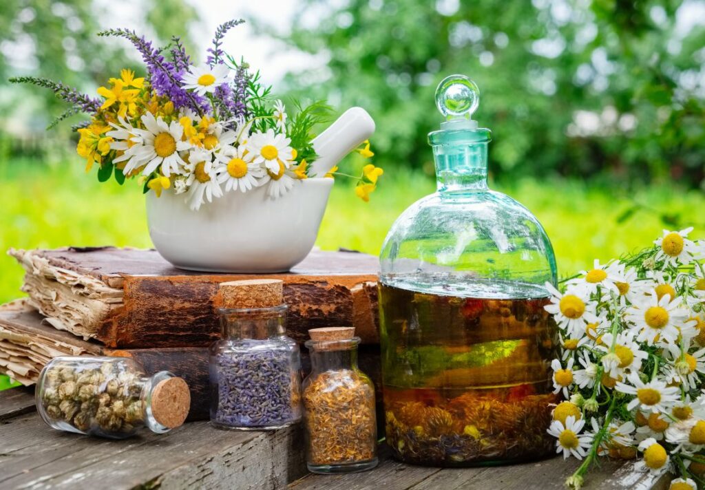 How to Make Carmelite Water - Best Carmelite Water Recipe 3 How to Make Carmelite Water – Best Carmelite Water Recipe - MyNaturalTreatment