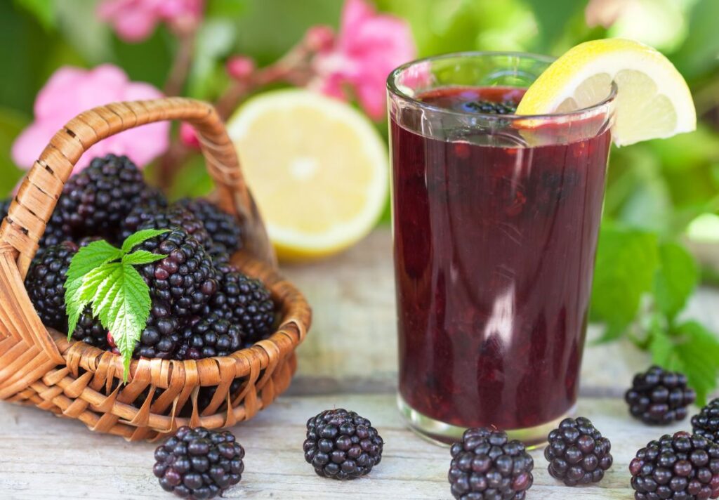 5 Amazing Blackberry Juice Benefits - Natural Antioxidant Powerhouse 3 5 Amazing Blackberry Juice Benefits - Natural Antioxidant Powerhouse - MyNaturalTreatment.com