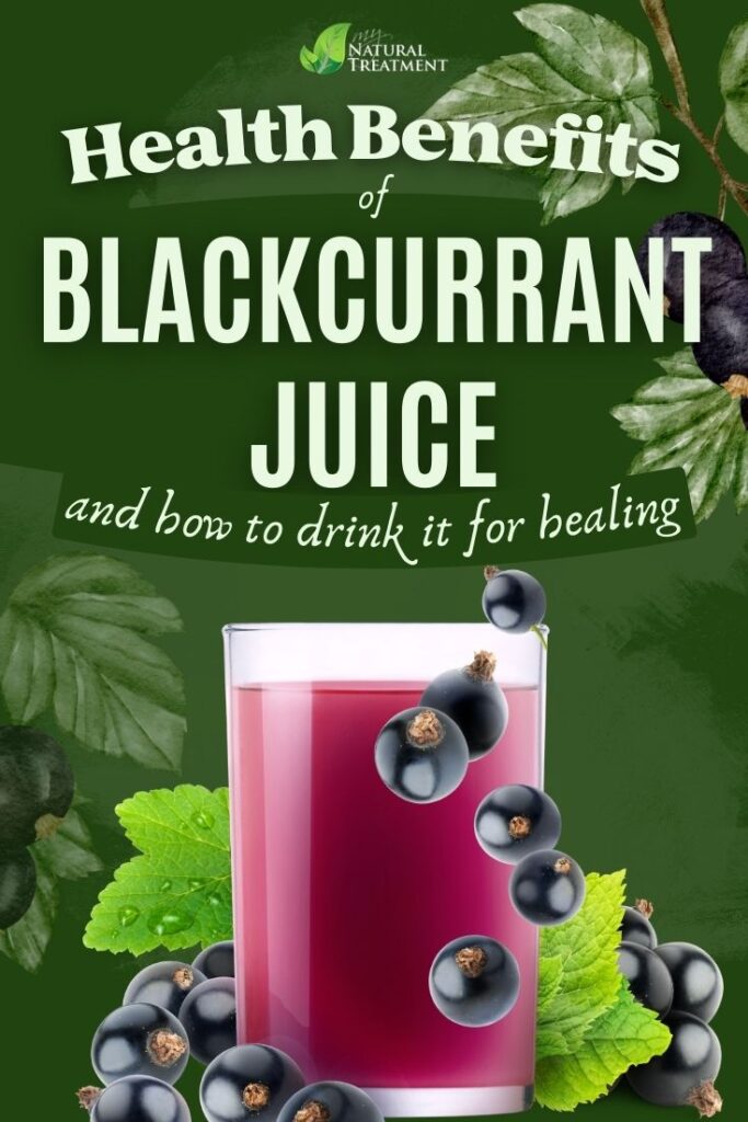8 Amazing Blackcurrant Juice Benefits - Immunity, Brain Power, and Youthful Skin 4 5 Amazing Blackcurrant Juice Benefits - Health Benefits of Blackcurrant Juice - MyNaturalTreatment.com