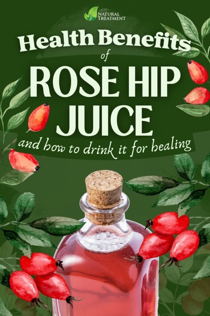 7 Amazing Rose Hip Juice Benefits - Immunity, Recovery, and Detox 5 7 Amazing Rose Hip Juice Benefits - Immunity, Recovery, and Detox