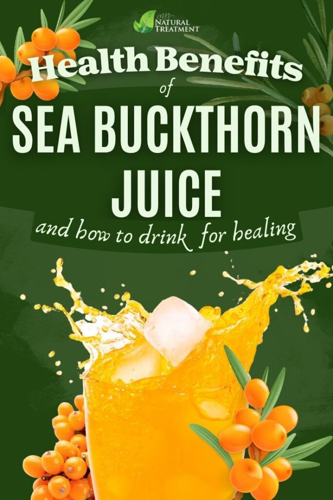 7 Sea Buckthorn Juice Benefits - Immunity, Detox, and Cell Repair 5 5 Amazing Sea BUckthorn Juice Benefits - Health Benefits of Sea BUckthornJuice - MyNaturalTreatment.com